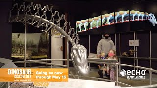 Dinosaur Discoveries at ECHO