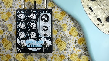 Beautiful Noise - Endless Sleeper