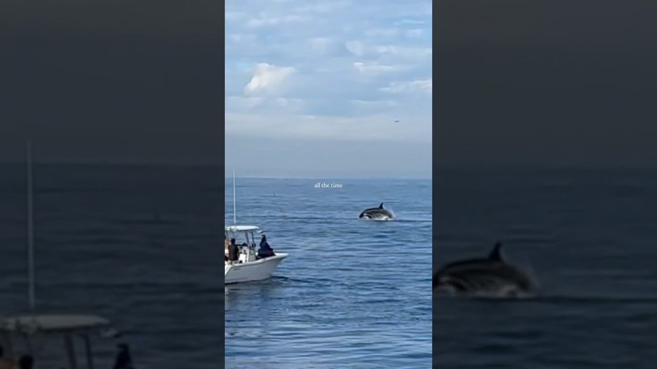 Slipping through my fingers every time I try to capture every minute the feeling in it  