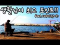 생활낚시 최고 포인트! 바다낚시 바다낚시채비 바다찌낚시 원투낚시 낚시동영상 낚시초보 속초 외옹치항 fishing 힐링영상