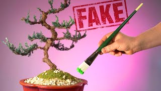 Using CRAFT TRICKS to Resurrect my Dead Bonsai Trees?!