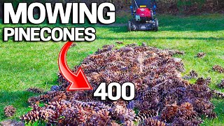 What Happens When you Mow 400 Pinecones Toro