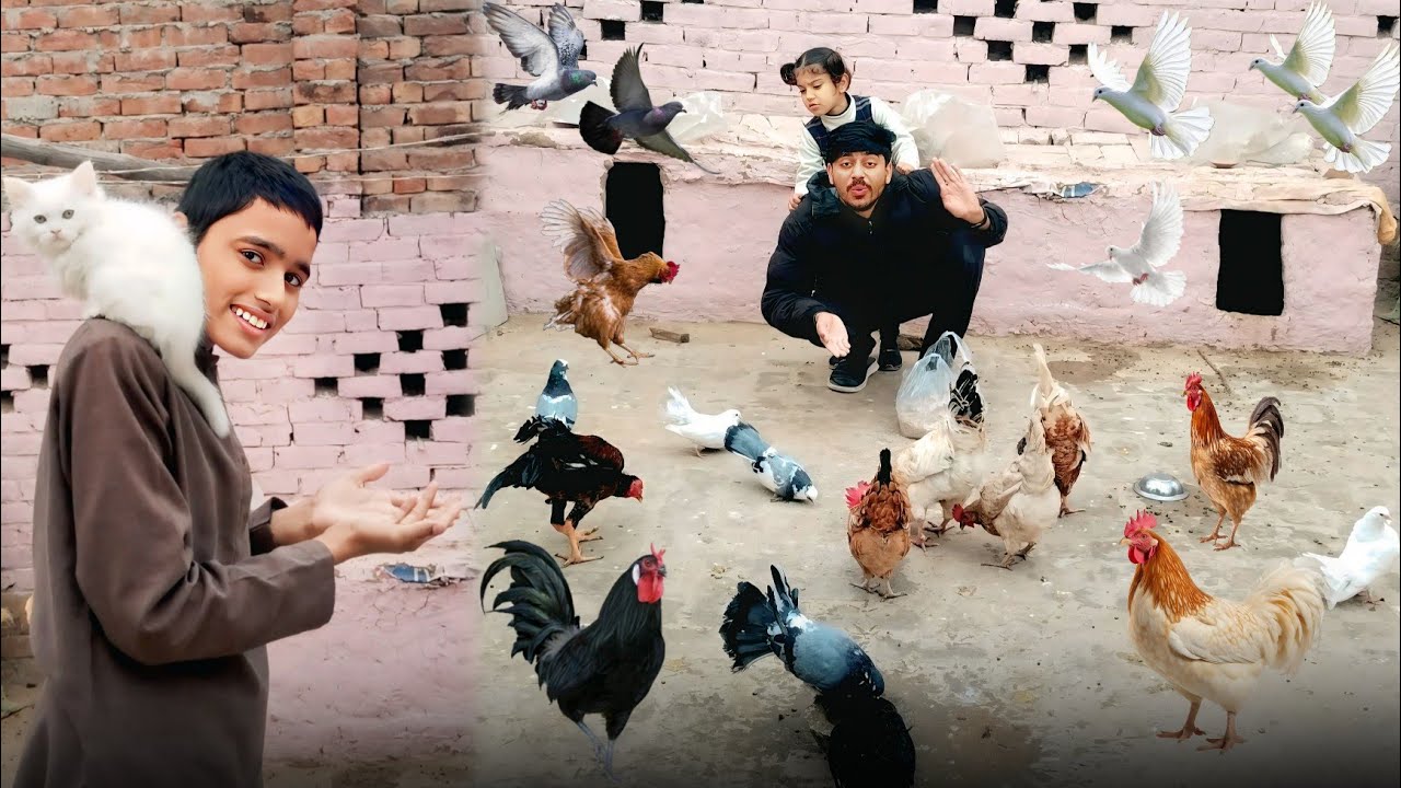 Hen Nay Mari Czn Ko Rula Diya 🥹 Shoaib Wapis Agiya Vlog May 🤞🏻