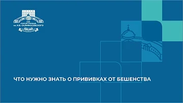 Что нужно знать о прививках от бешенства