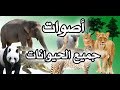 اصوات الحيوانات 