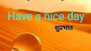 happy sunday my dear friends