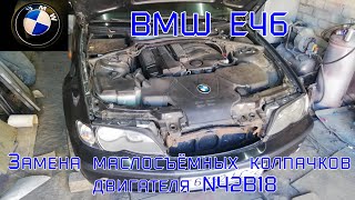 BMW E46 316i. Замена маслосъёмных колпачков двигателя N42b18.