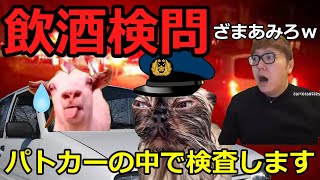 【猫ミーム】飲酒検問に捕まった占い師!!