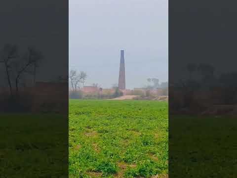 #villagefarming #aziiivlogs #trandingshort #villagevlog #ytshorts