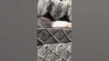 Expanded metal mesh making #expandedmetal #expandedmesh #shorts #satisfying #custom