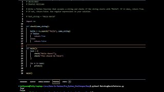 Pro Python Challenge 2 - Matching basic patterns