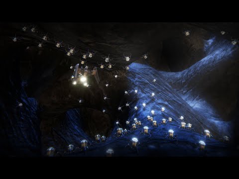 Bug Hunt (Boids)