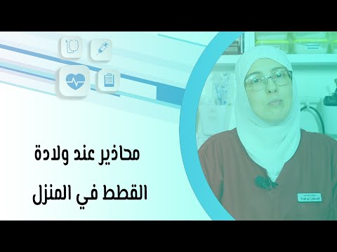 محاذير عند ولادة القطط في المنزل