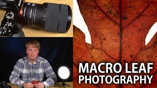 Macro Leaf Photography with Macro Extension Tubes from Fotodiox