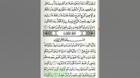 سورة الحجرات مكررة كل آية 3 مرات من الآية 1 إلى 8