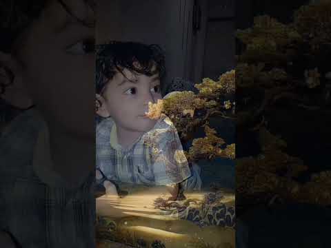 ياصديق عمرى يا صاحب زكرياتى ما اروعك يا ميدو