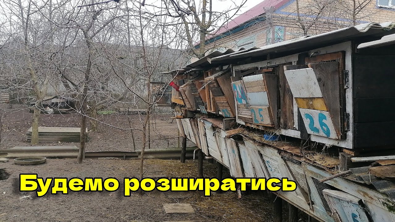 В планах збільшувати нашу міні ферму кроликів в 2026