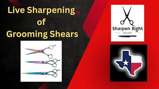 Grooming Shear Sharpening Mike White - Sharpen Right Services LLC - League City, Texas