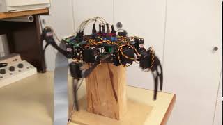 Hexapod controlled by a ZedBoard