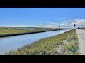 This galveston roadside waterway was loaded with big fish s7 e28