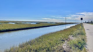 This Galveston roadside waterway was LOADED with big fish! (S7 E28)