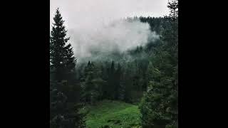 Vandalism - rain