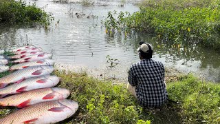 Amazing Fishing |Best float fishing tips and tricks ||Best fishing techniques || catching Rohu