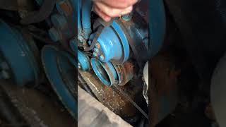 IMG 3405