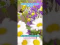 Manifest Abundance Deeply Relaxing Hypnosis #abundanceiseverywhere #hypnosis