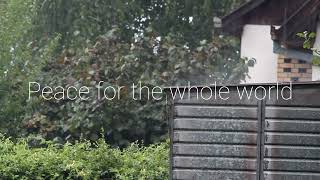 The Beauty Of Rain For Relaxation Delora