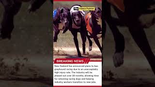 #12 Top Headlines at a Glance | 10 Dec 2024