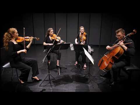 Javus Quartett - Schubert Quartettsatz