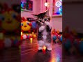 Dancing Kittens That Will Make Your Day!