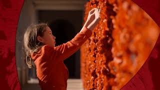 Virtual Poppy Wall
