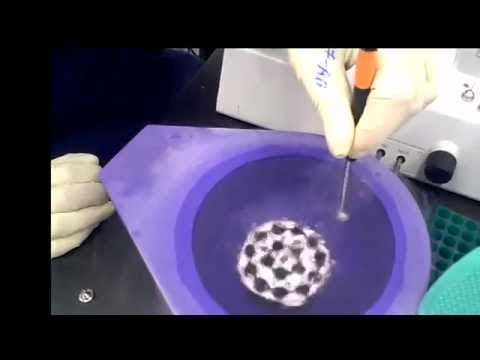 Janet Smith Lab - Freezing Crystals at the Life Sciences Institute