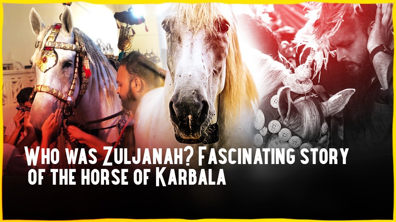 Who was Zuljanah? Fascinating story of the horse of Karbala