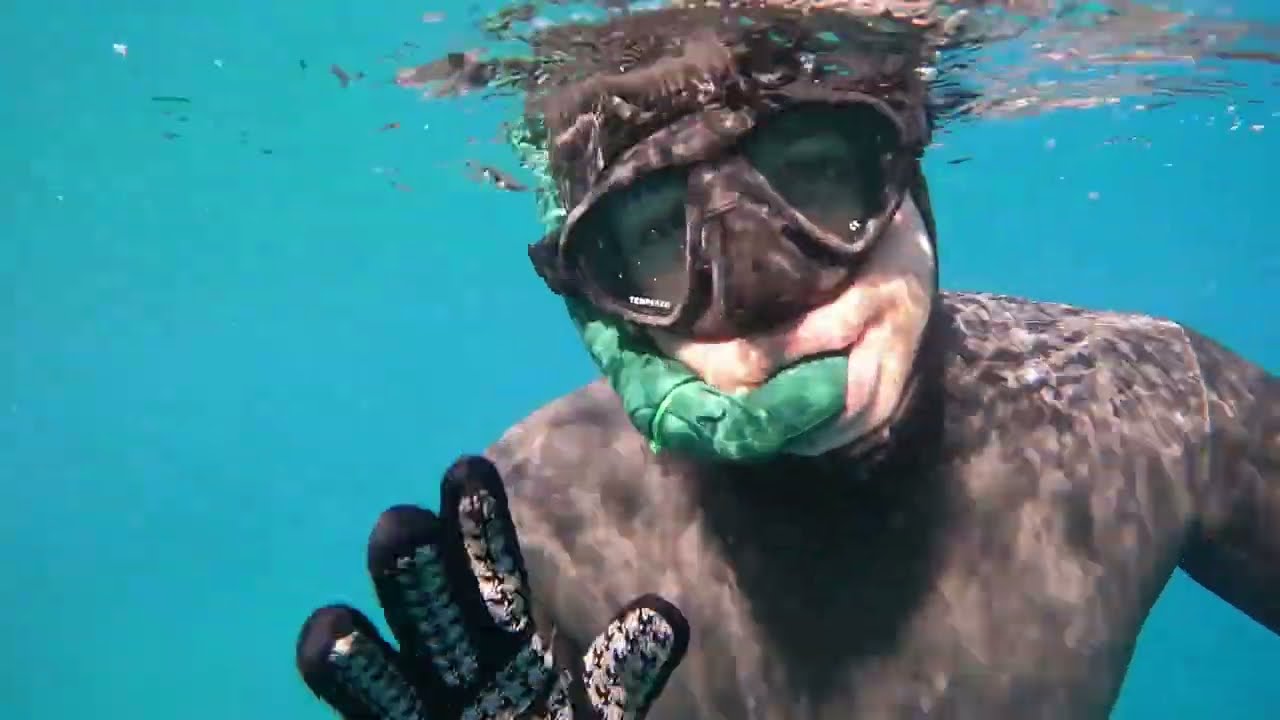 PADI Freediver Course - Seals Diving Center Greece
