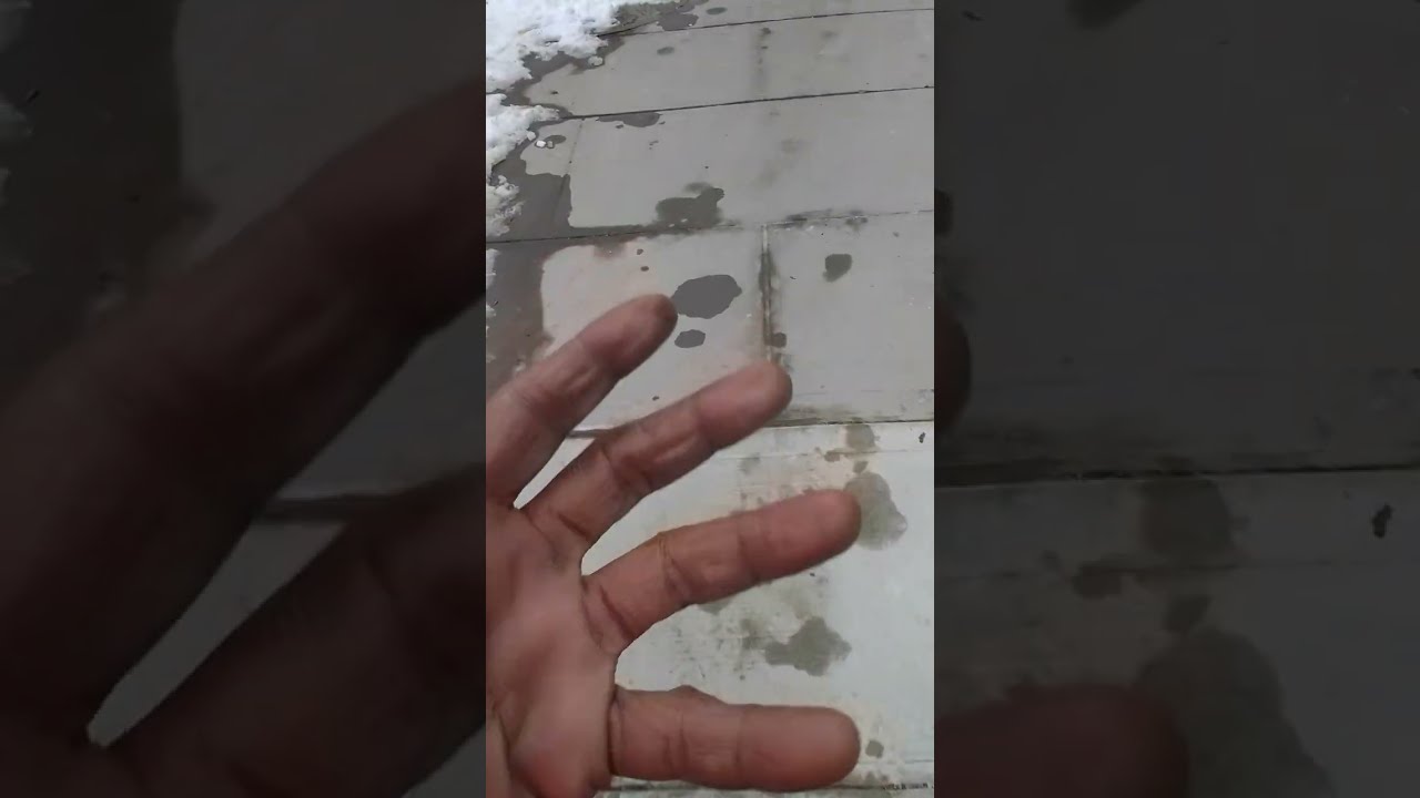 GMB TV I'm like dog shoes to people