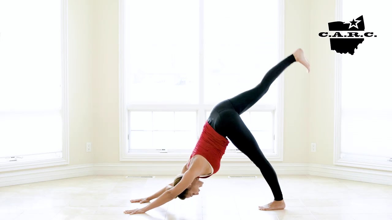 Flexible Living Yoga - #AloEmpoweredYogis Day 6️⃣ Tiger Pose (Vyaghrasana)  I have been working in releasing hips this week so I chose a more crouching  tiger pose I found in “2,100 Asanas”