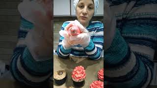 Decorando Cupcakes Com Bico 1M Da Wilton