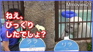 今日もやっちゃうよ！やる気充分のリラ