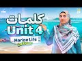 شرح كلمات Unit 4 الصف الثالث الثانوي اللغة الانجليزية 2026 