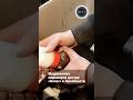 Медвежонка подкинули центру «Велес» в Ленобласти