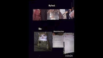 #shorts #shortsfeed #shortsvideo #ytshorts #coding