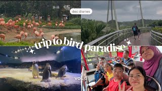 Trip To Bird Paradise  Feeling Like A Tourist In Our Own Country