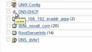 Managing Novell DNS with iManager Managing Novell DNS with iManager