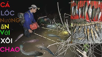 Xiệt cá lóc nướng trui ăn xôi cháo độc lạ @utdeodongthap 