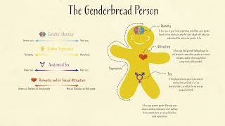 LGBT+ Identity, Attraction and Expression