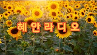 [혜안라디오] 혜안을 여는 힐링방송/소통/고민상담/운세/법문/2024/3/9/토