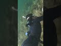 Me working my way to the bottom of Troy. #freediver #freediving #florida #springs #girlswhofreedive